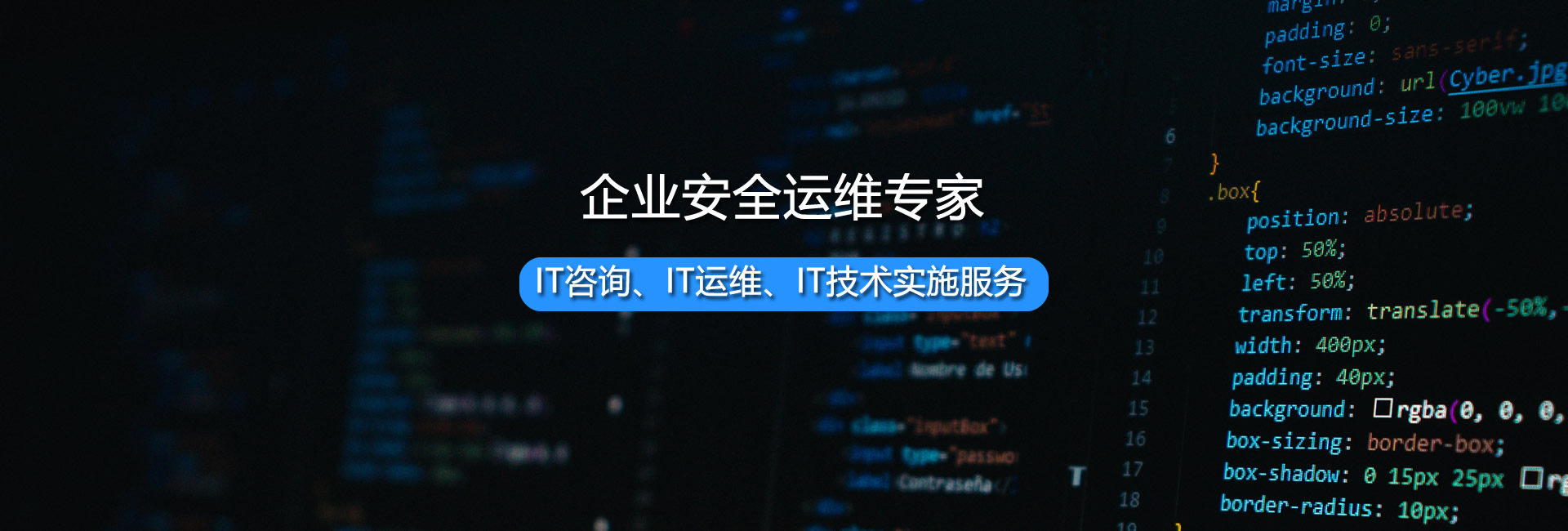企业安全运维专家